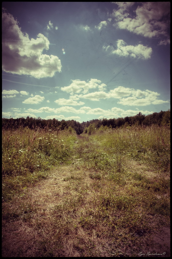 photo "***" tags: landscape, nature, clouds, field, road, sky