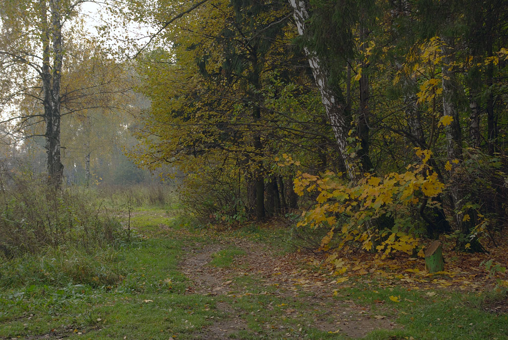 photo "***" tags: landscape, city, autumn, Бутово