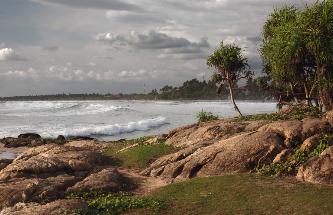 photo "***" tags: landscape, clouds, coast, ocean, stone, tree, Шри Ланка, волны