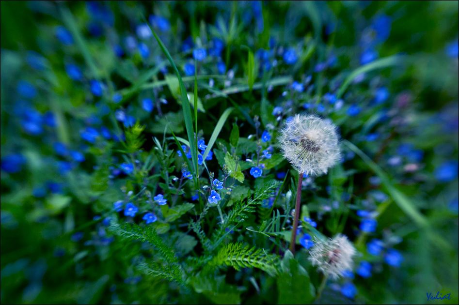 фото "***" метки: природа, 
