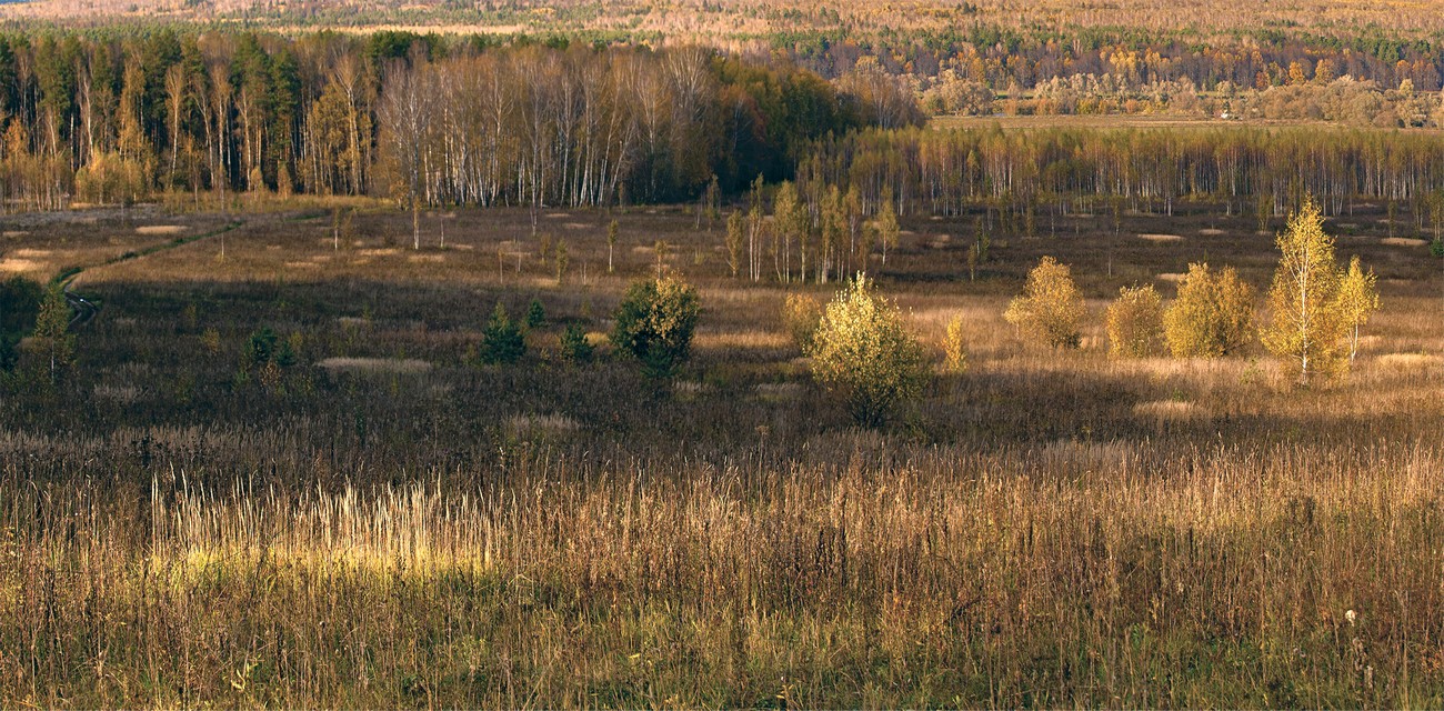 photo "***" tags: landscape, autumn