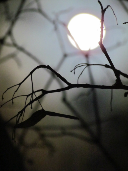 photo "moonlight" tags: landscape, abstract, misc., Moon, night