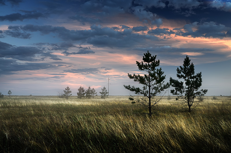 photo "Before the fight" tags: landscape, clouds, field, field, tree