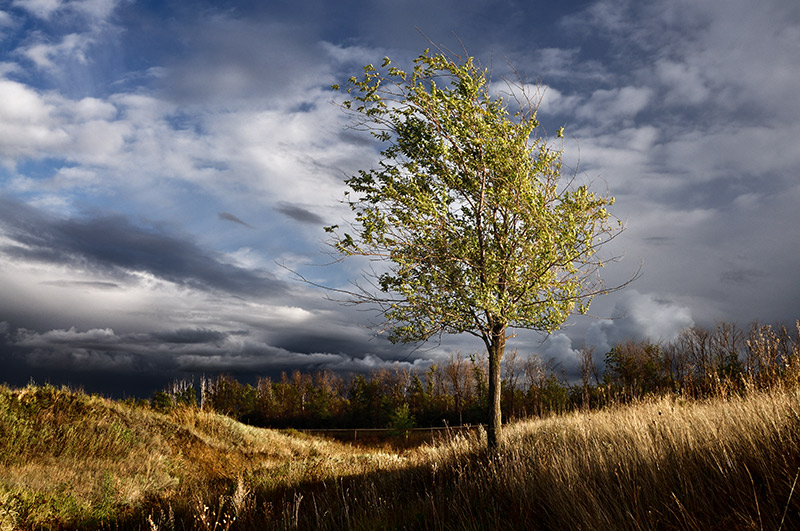 photo "Banishing autumn clouds" tags: landscape, autumn, clouds, storm cloud, tree