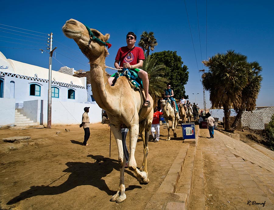 photo "The caravan" tags: travel, reporting, Africa, tourists