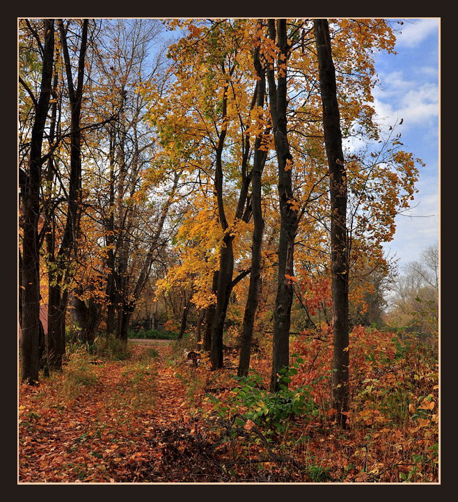 photo "***" tags: landscape, 