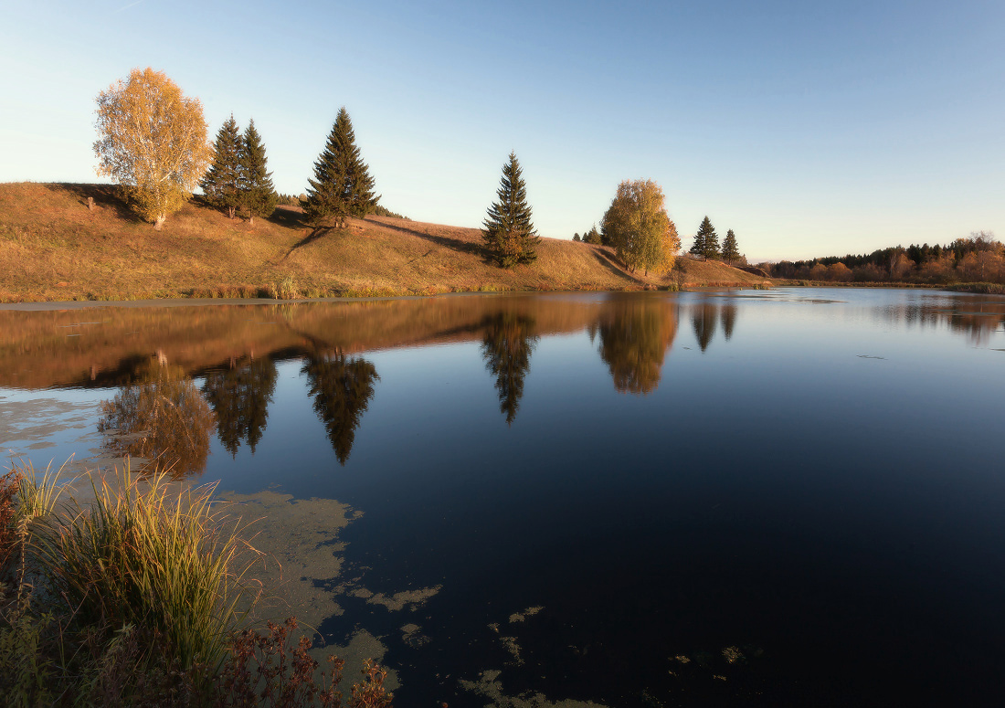 photo "***" tags: landscape, autumn, forest, grass, lake, reflections, tree, елки