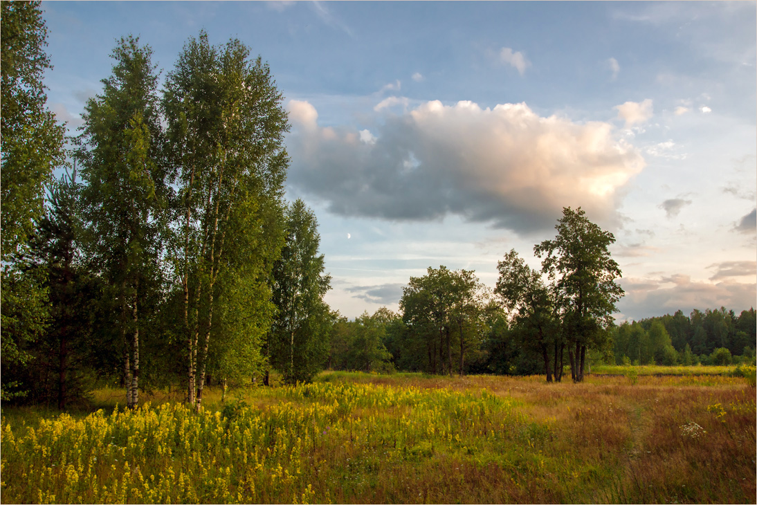 photo "***" tags: landscape, nature, Russia, evening, summer