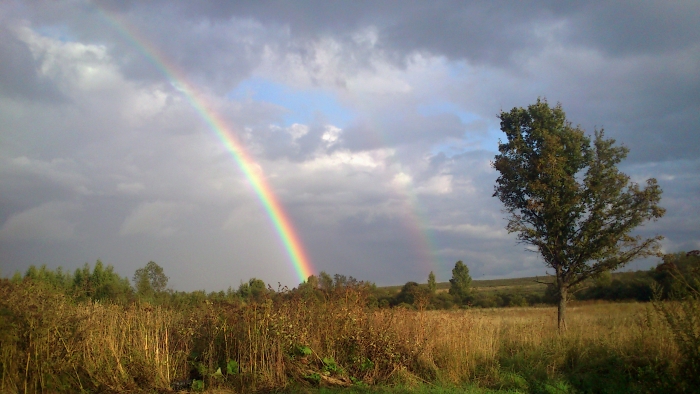 photo "***" tags: landscape, nature, field, rainbow, summer