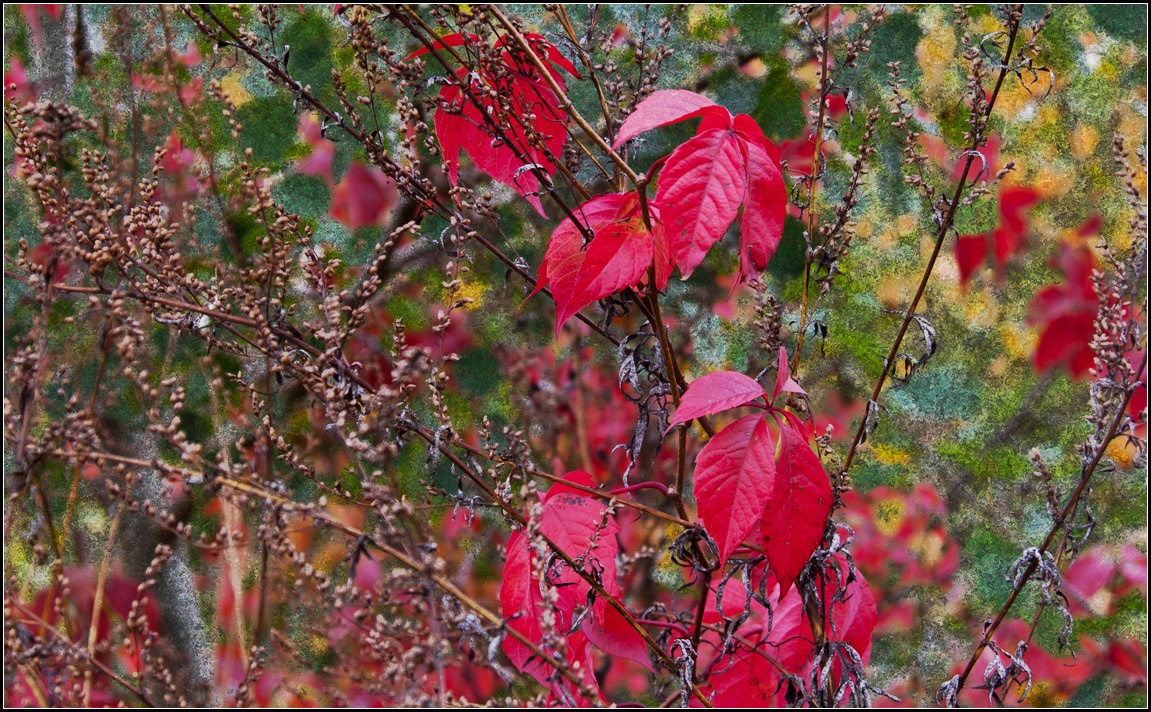 photo "artist Autumn" tags: nature, digital art, 