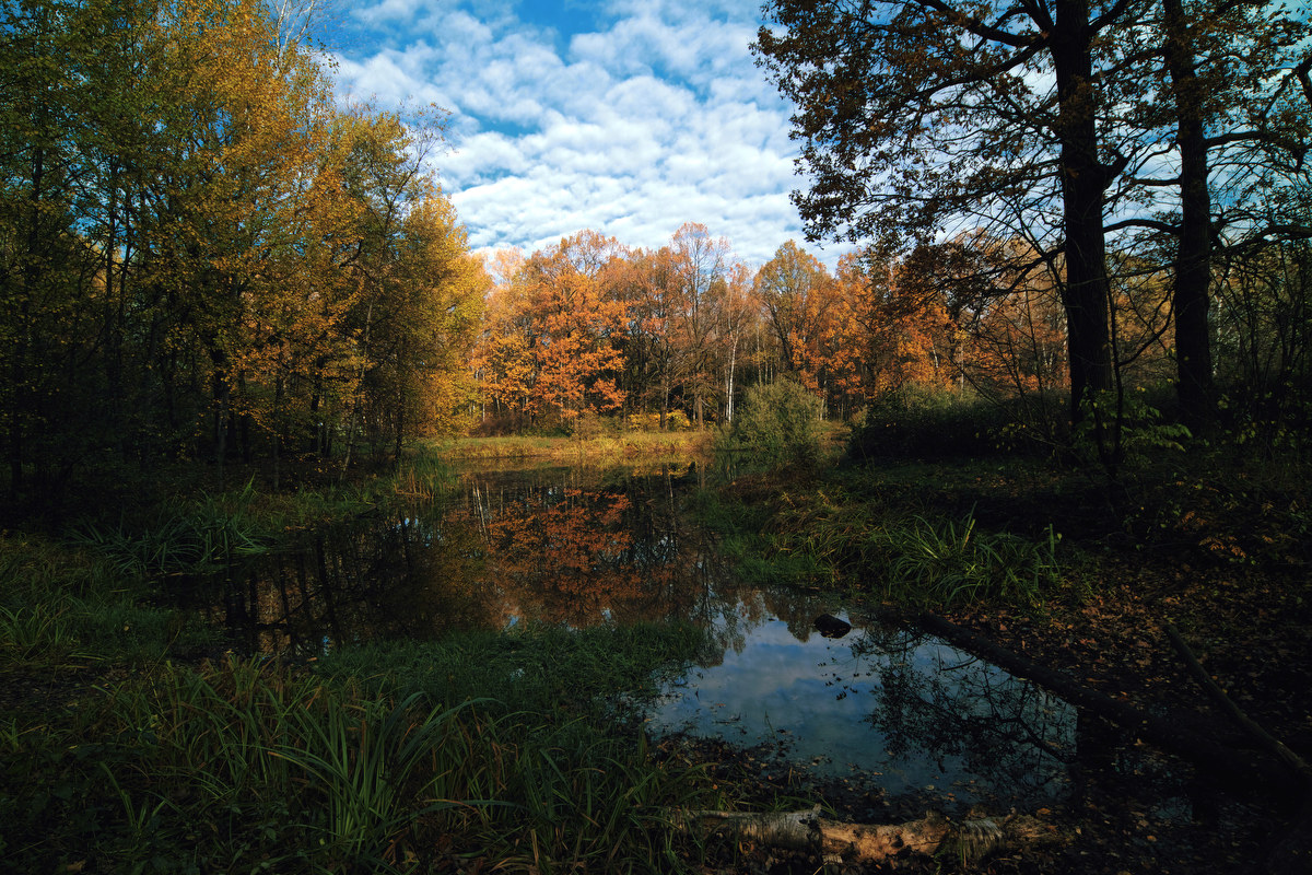 photo "***" tags: landscape, autumn, pond