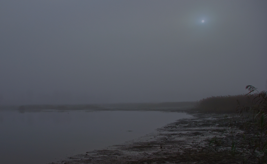 photo "Autumn Fogs" tags: landscape, autumn, water