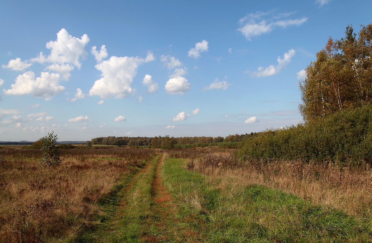 photo "***" tags: landscape, autumn, forest
