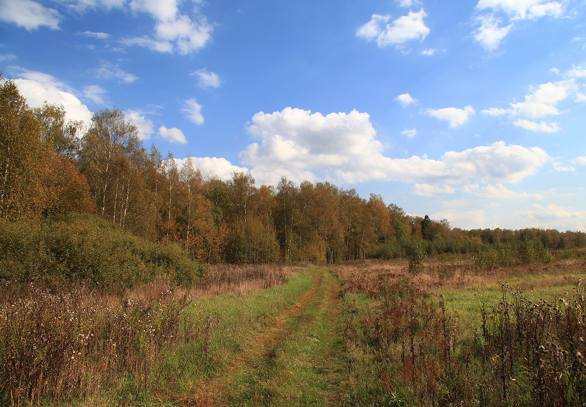 photo "***" tags: landscape, autumn, forest