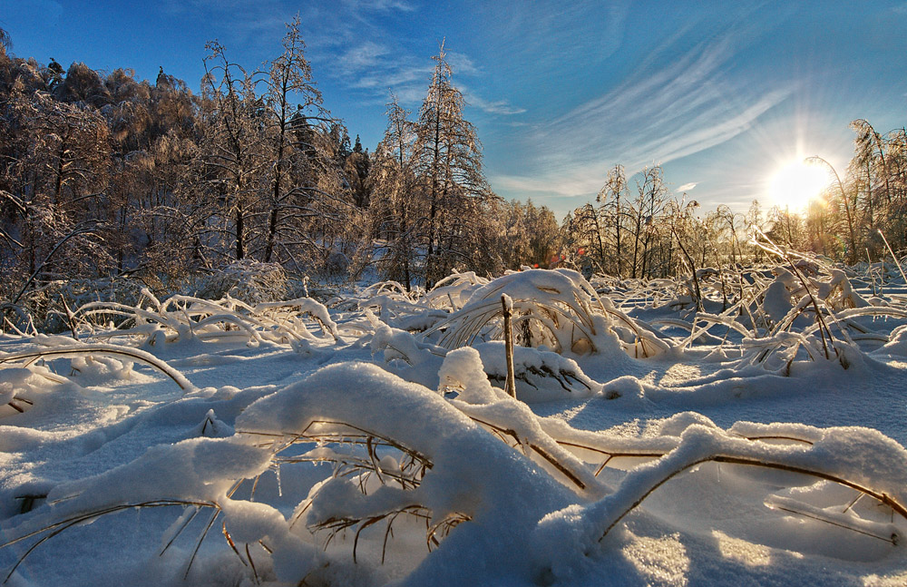 photo "***" tags: landscape, nature, sunset, winter