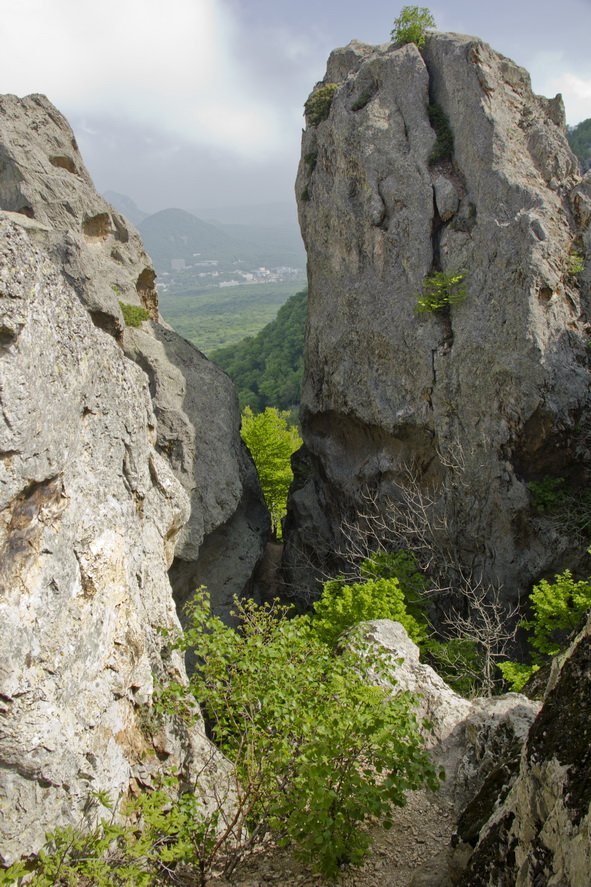 photo "***" tags: landscape, forest, mountains