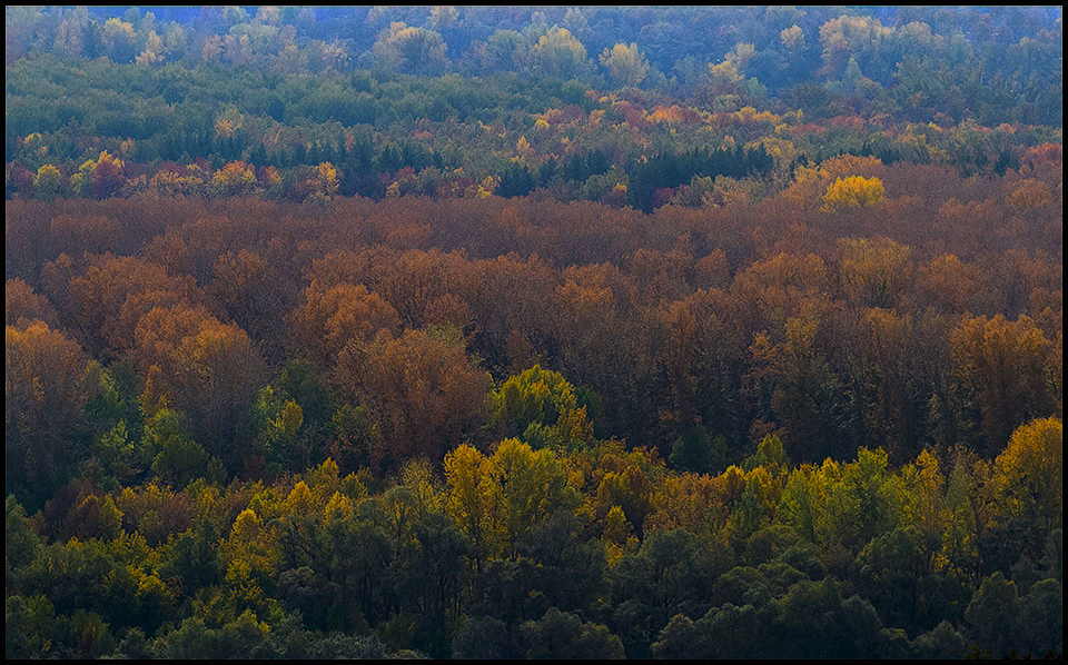 фото "Палитра осени..." метки: пейзаж, 