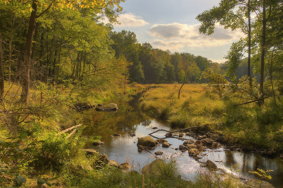 фото "Golden hour" метки: пейзаж, Sterling Forest State Park, foliage, закат, лес, осень