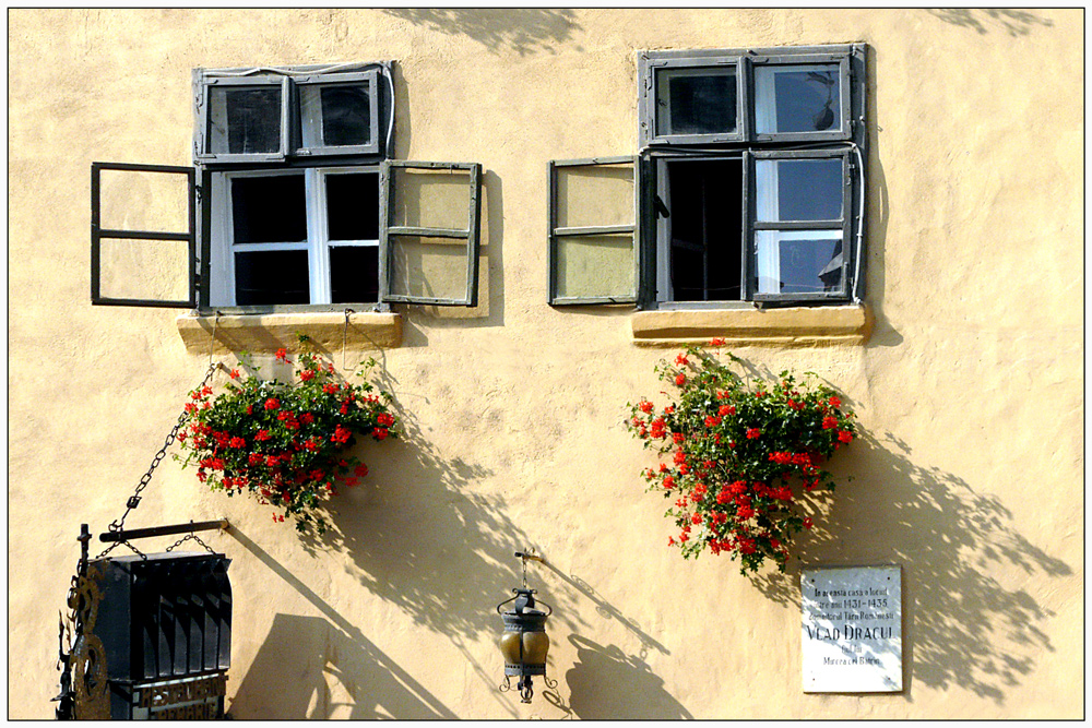 photo "***" tags: architecture, city, Sighisoara, house, romania, window