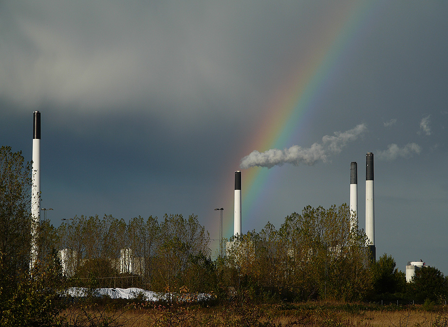 photo "Nature Wins" tags: landscape, 