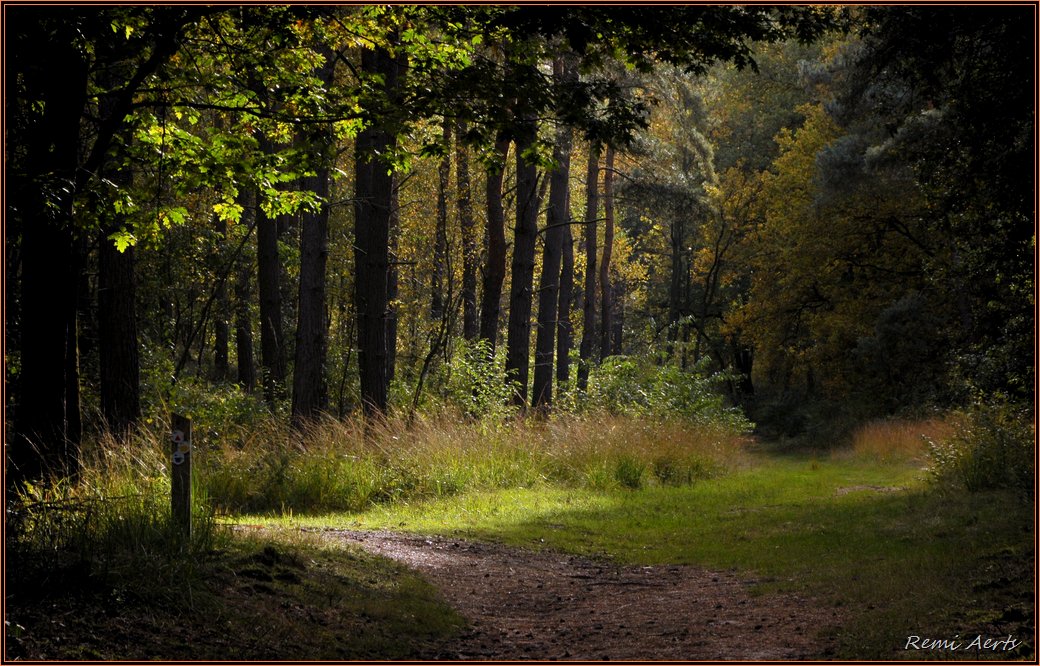 photo "***" tags: landscape, nature, 