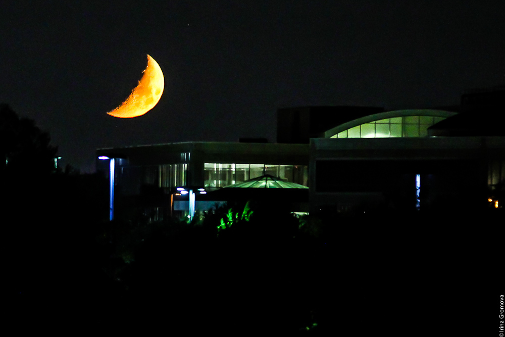 photo "***" tags: landscape, Moon