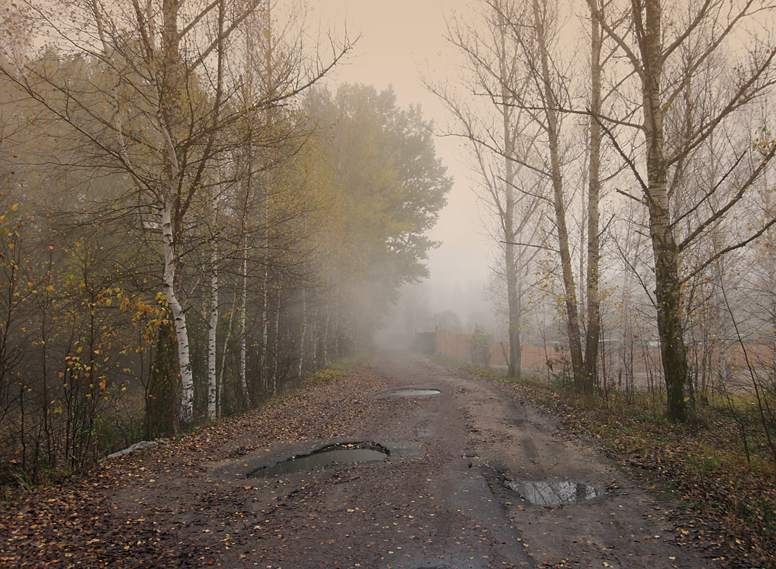 фото "Осеннее настроение" метки: пейзаж, дорога, лес, туман