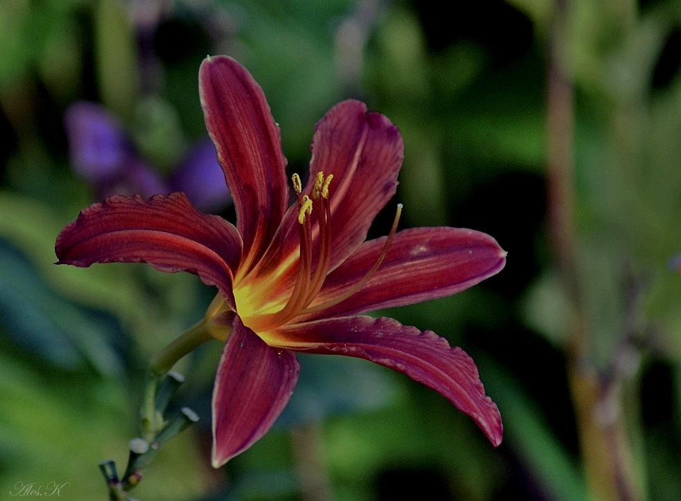 photo "***" tags: , 