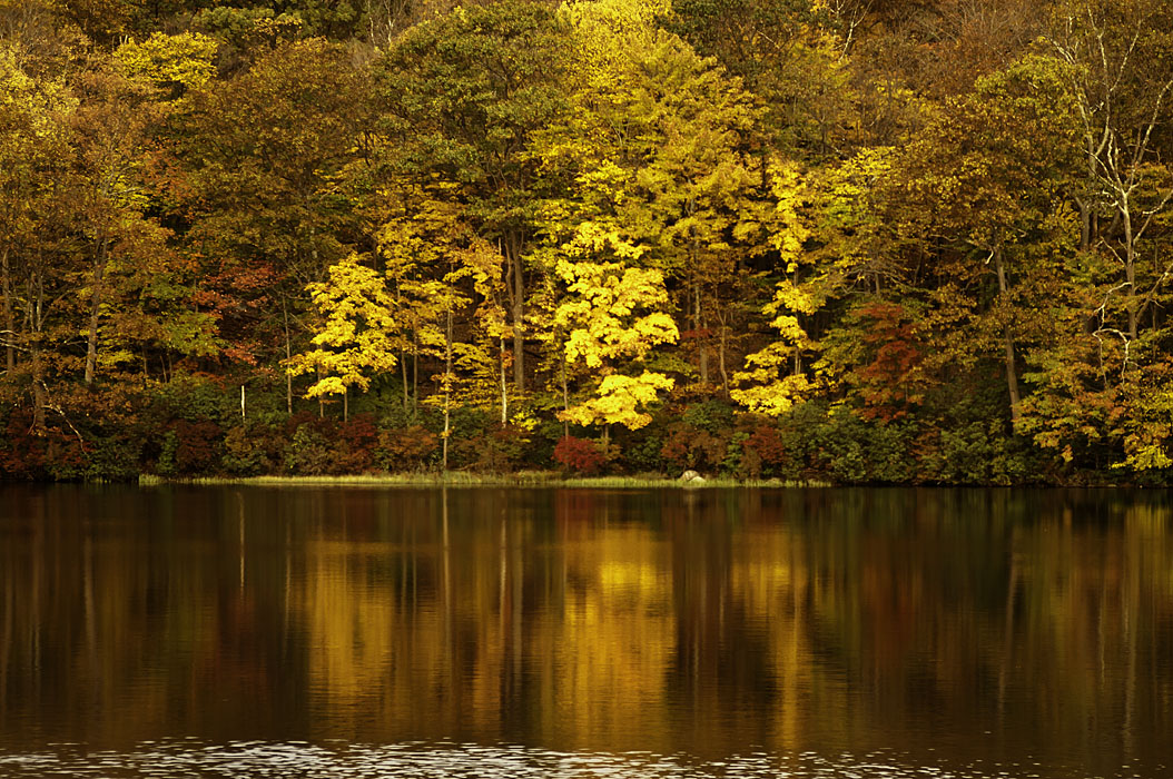 photo "Golden hour" tags: landscape, nature, Harriman State Park, autumn, foliage, forest, sunset