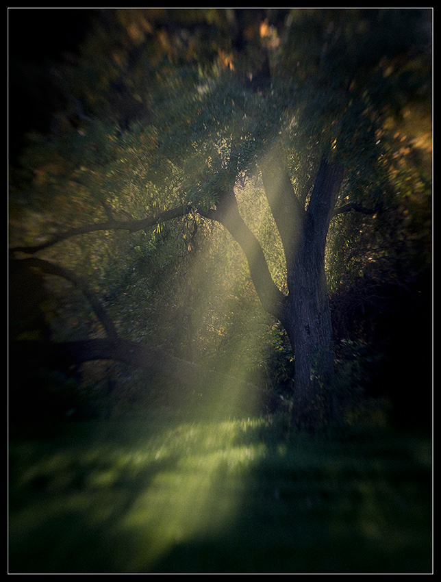 photo "***" tags: landscape, 