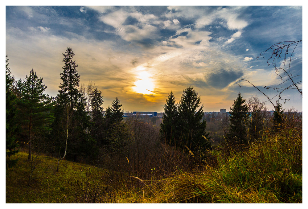 photo "***" tags: landscape, nature, autumn, forest, sky, sunset, Хотьково