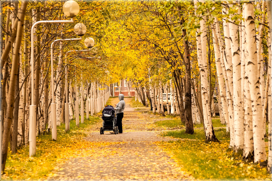 photo "***" tags: street, autumn