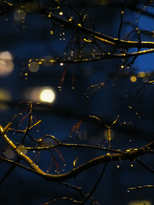 photo "evening" tags: abstract, landscape, misc., rain