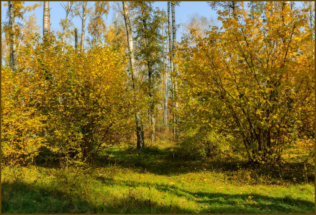 фото "***" метки: пейзаж, 