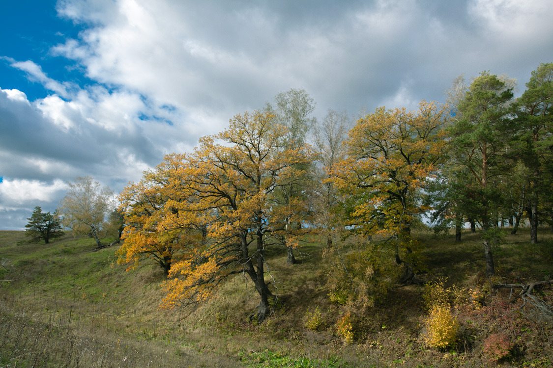 photo "***" tags: landscape, autumn