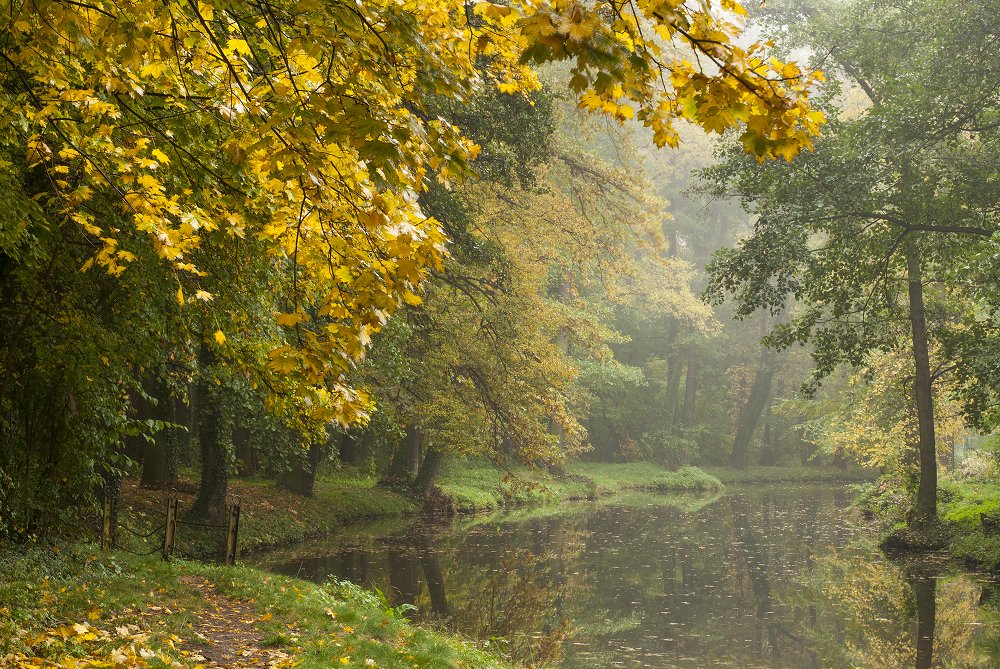 фото "Colors of Autumn" метки: пейзаж, город, 