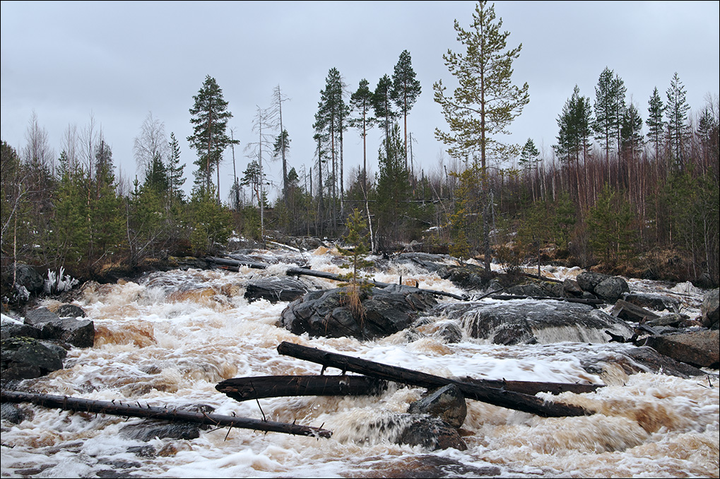 photo "It was very noisy" tags: landscape, travel, Europe, Karelia, spring, taiga, water, водопад, поток, север