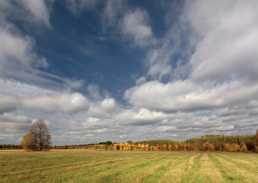 photo "***" tags: landscape, autumn, clouds, field, forest, grass, sky, tree, краски, полосы