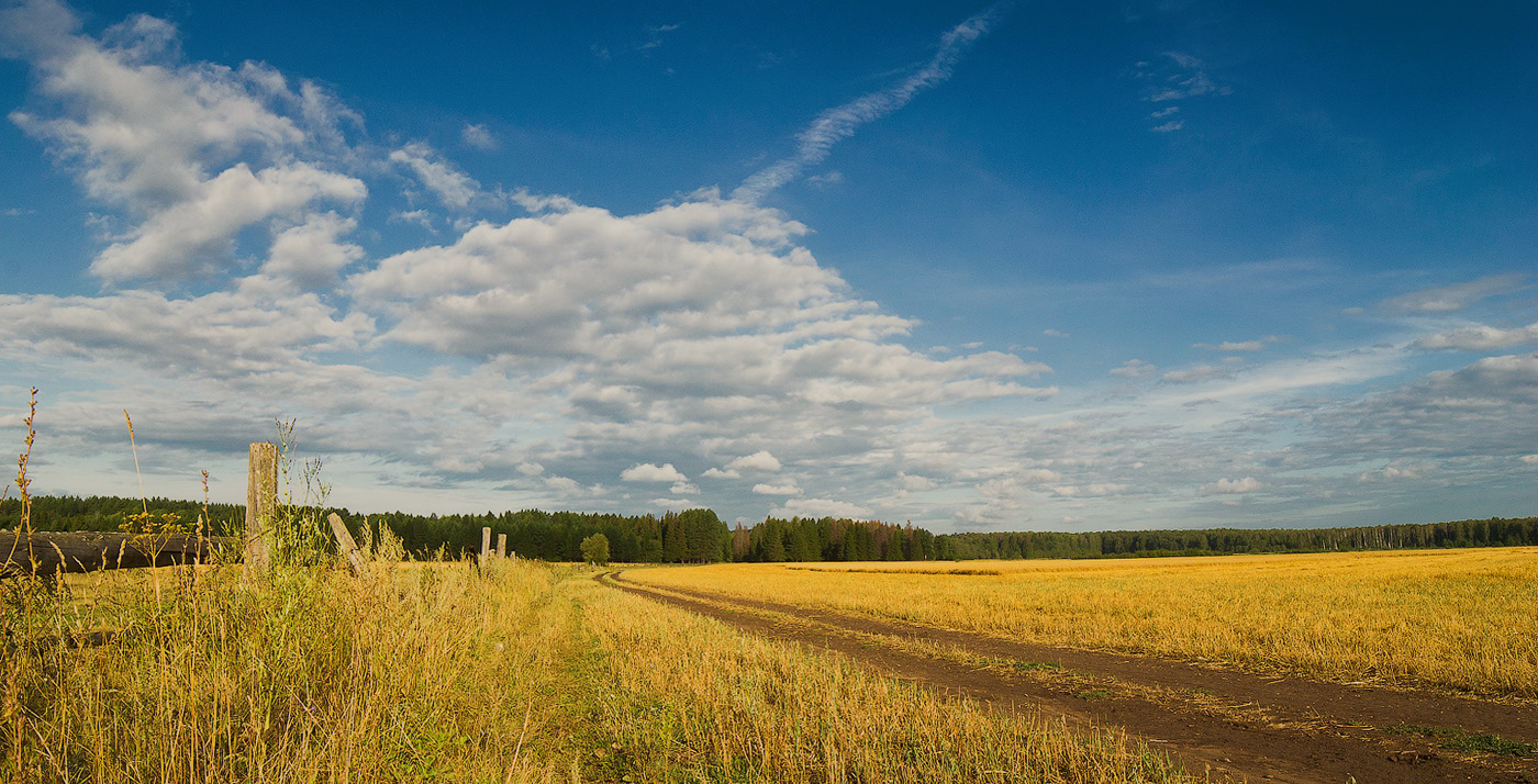 photo "***" tags: landscape, nature, clouds, field, forest, sky, summer