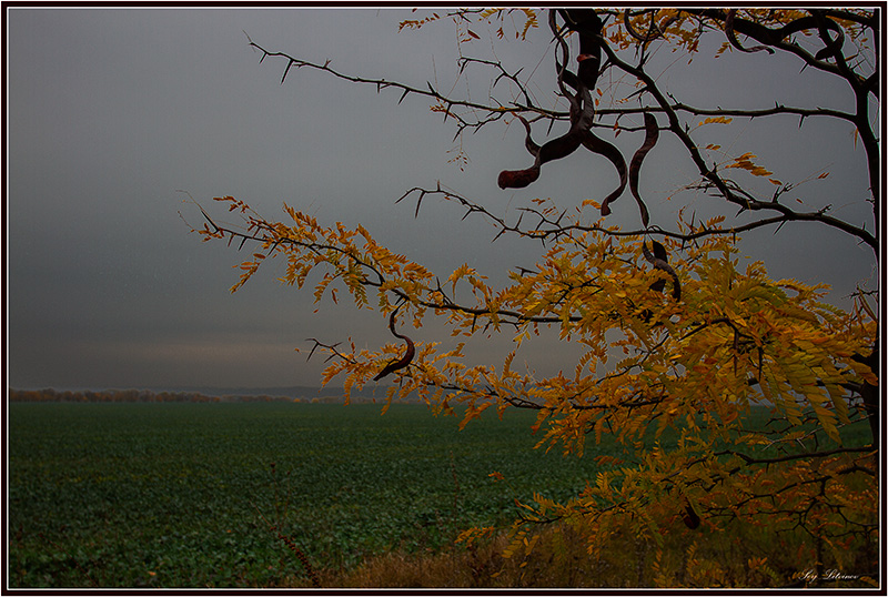 photo "***" tags: landscape, autumn