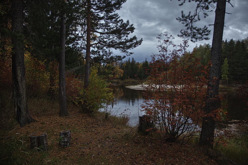 фото "Поздняя осень" метки: пейзаж, лес, осень, река