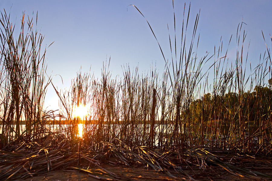 photo "***" tags: landscape, nature, Dnieper, coast, evening, river, september, sky, sun, sunset, water, Запорожье, камыши, плавни