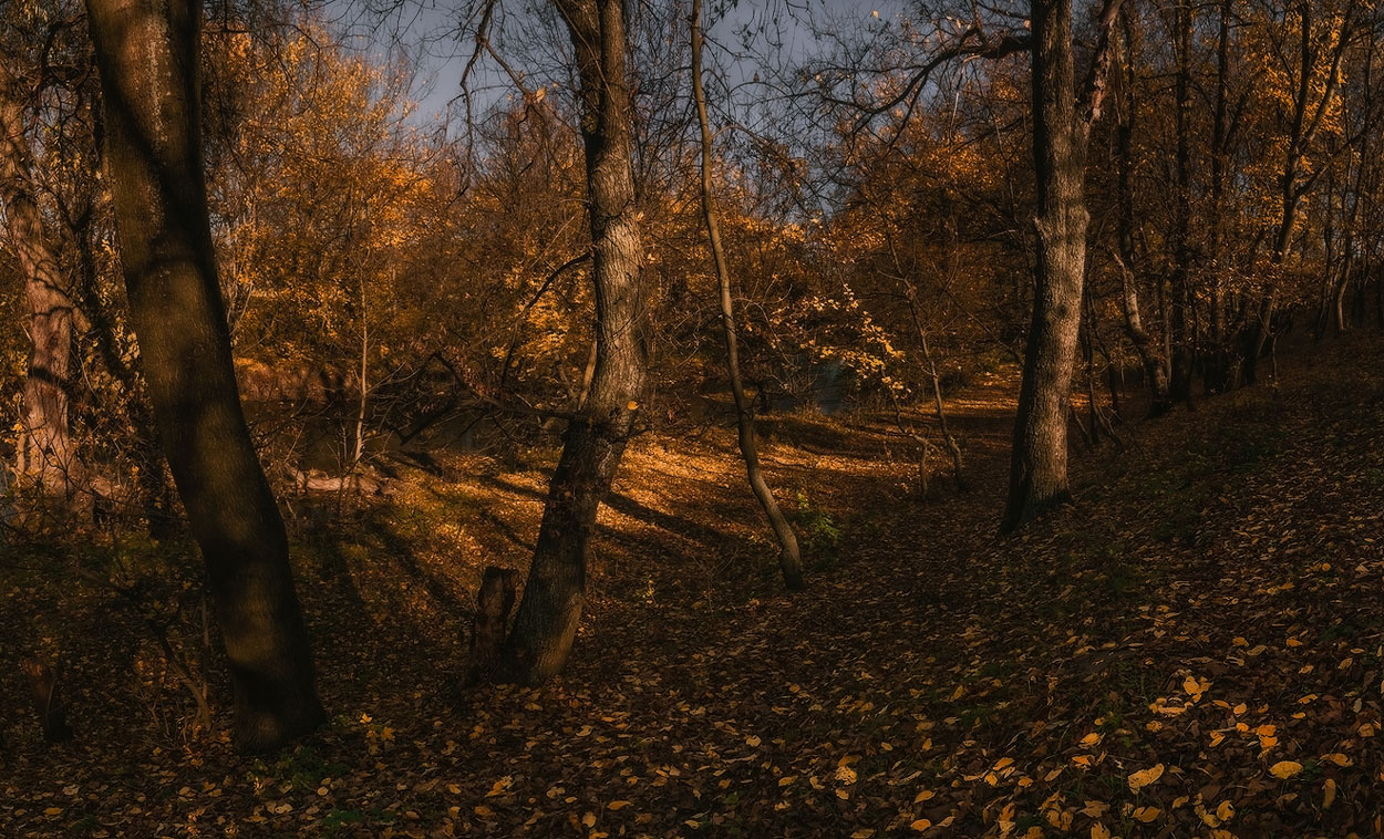 фото "Осенние оттенки" метки: пейзаж, 