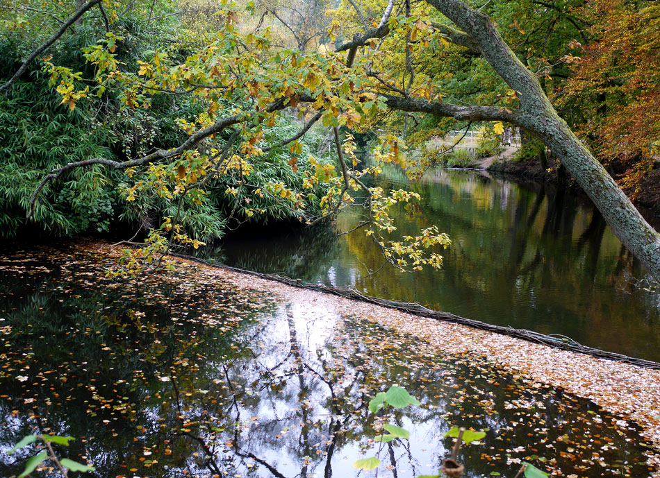 photo "***" tags: landscape, autumn, forest, water