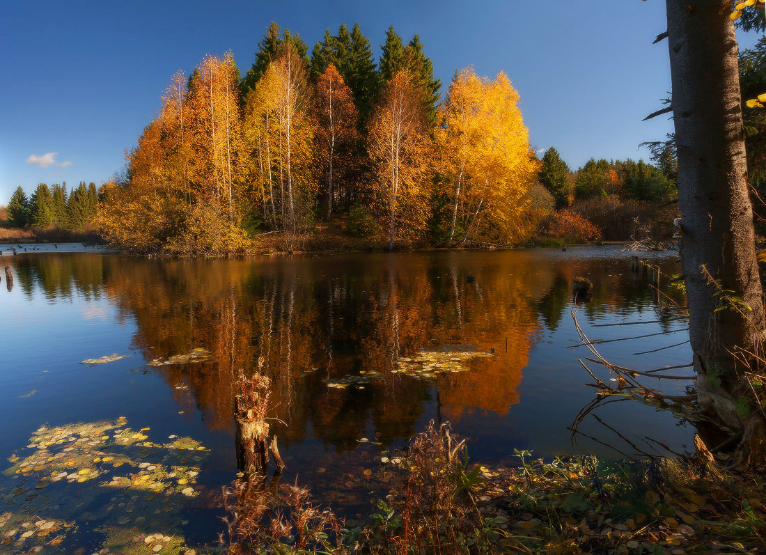 photo "***" tags: landscape, autumn, forest, lake, leaf, reflections, tree, краски