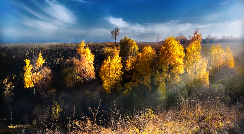 фото "Уходит бабье лето..." метки: пейзаж, 