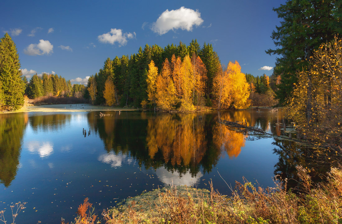 photo "***" tags: landscape, autumn, clouds, forest, lake, reflections, tree, water, краски