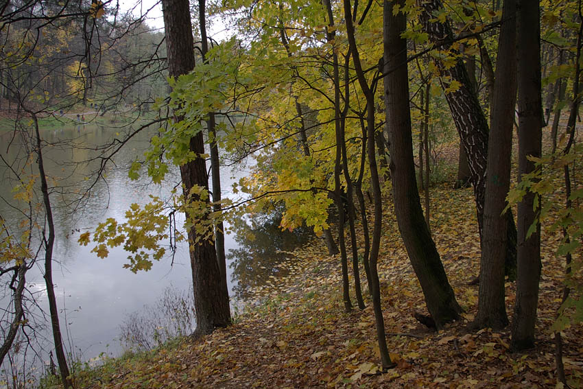 photo "***" tags: landscape, city, autumn, park, Царицыно