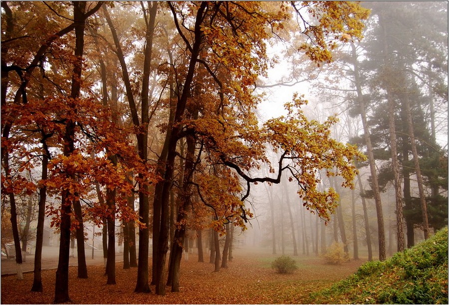 фото "..." метки: пейзаж, 