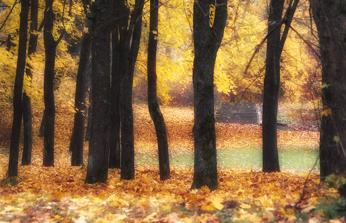 photo "Guards of autumn" tags: , 